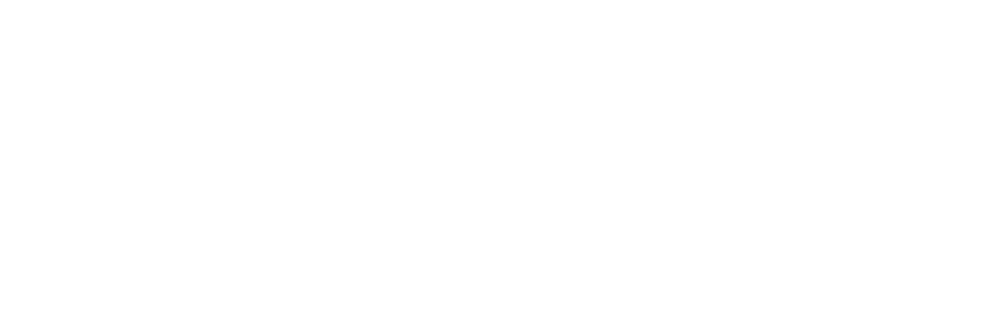 revolution-casino-Visa-logo-white-1.webp